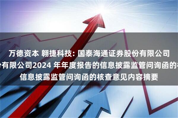 万德资本 翱捷科技: 国泰海通证券股份有限公司关于翱捷科技股份有限公司2024 年年度报告的信息披露监管问询函的核查意见内容摘要