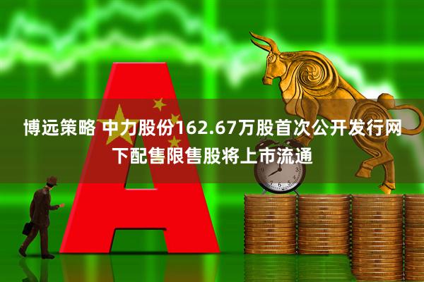 博远策略 中力股份162.67万股首次公开发行网下配售限售股将上市流通