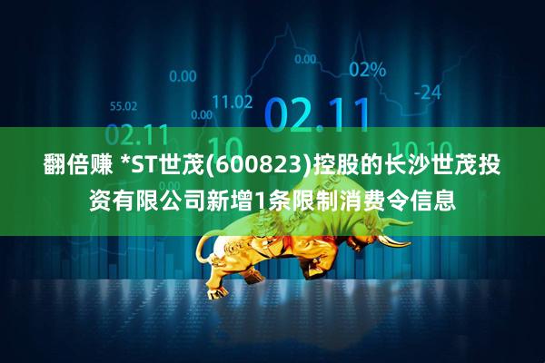 翻倍赚 *ST世茂(600823)控股的长沙世茂投资有限公司新增1条限制消费令信息