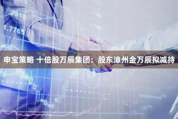 申宝策略 十倍股万辰集团：股东漳州金万辰拟减持