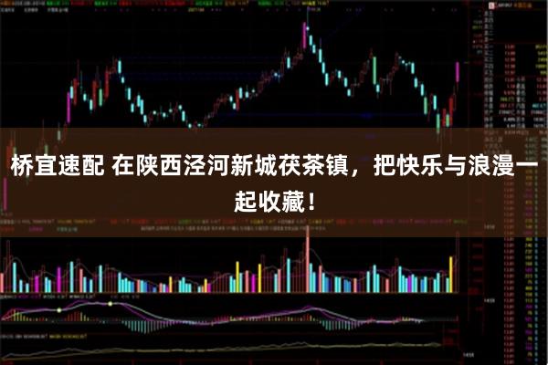 桥宜速配 在陕西泾河新城茯茶镇，把快乐与浪漫一起收藏！